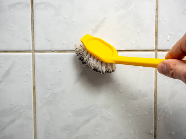 Best Black Mold Remediation in Palatine, IL