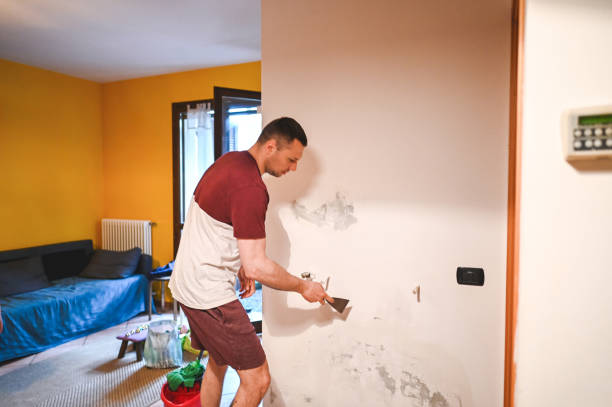 Best Residential Mold Remediation in Palatine, IL